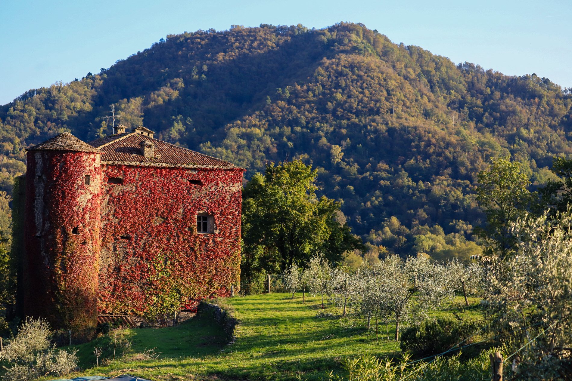 Castello-di-Villa-di-Tresana-Podenzana-Cosa-Fare-Castelli-Lunigiana