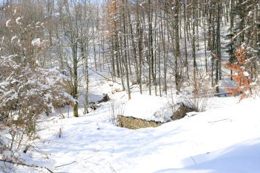 Antico-Alpeggio-della-Formentara-Localita'-Zeri-Lunigiana15
