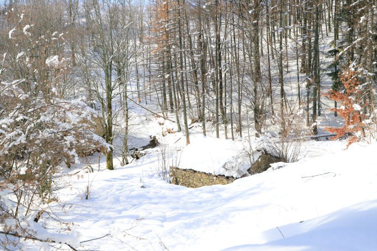 Antico-Alpeggio-della-Formentara-Localita'-Zeri-Lunigiana15