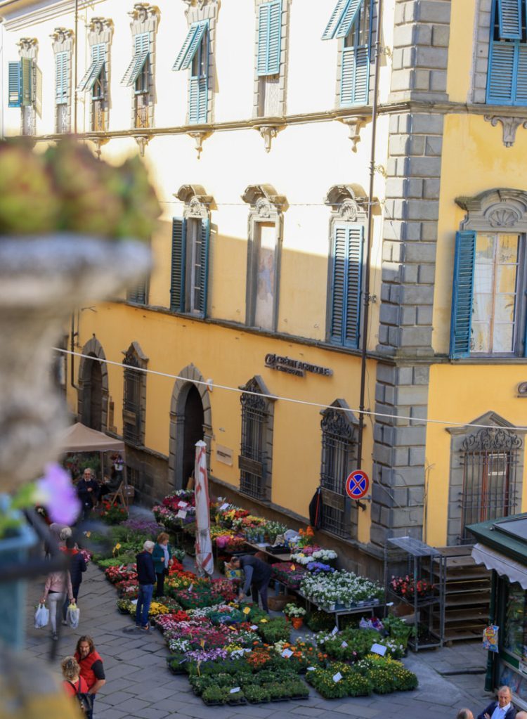 Bancarel-Fiore-Eventi-Tradizioni-Pontremoli-Lunigiana8