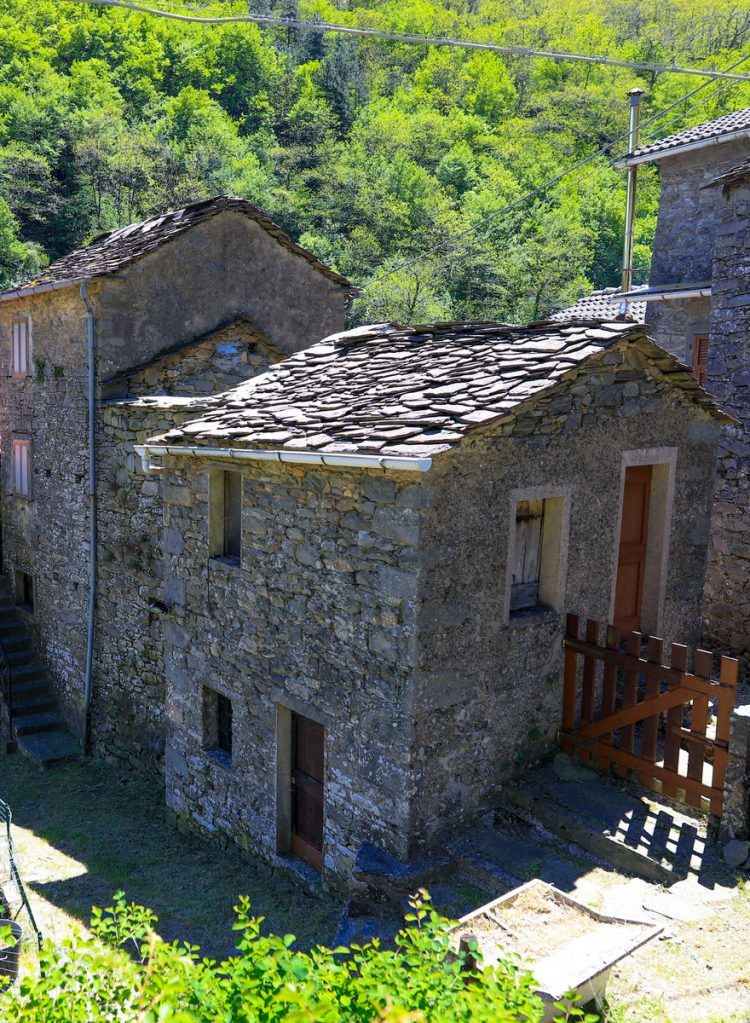 Bosco-di-Rossano-Localita'-Zeri-Lunigiana2