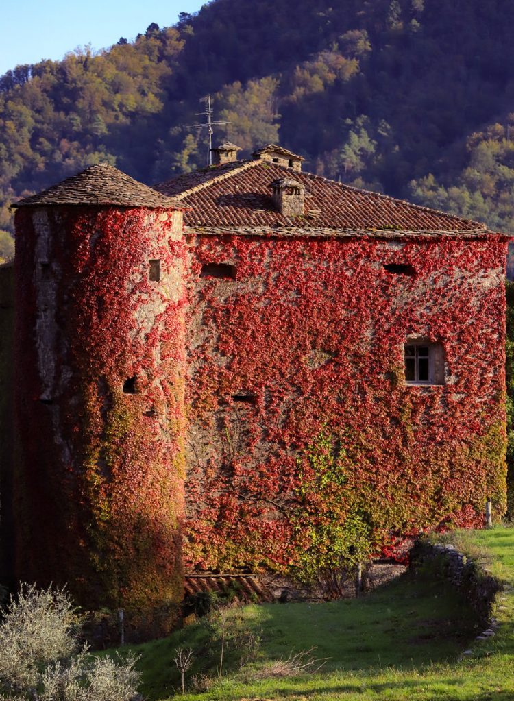 Castello-di-Villa-di-Tresana-Podenzana-Cosa-Fare-Castelli-Lunigiana-World_2021_2