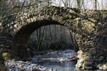 Copertina-Ponte-Bocciari-Bardine-Fivizzano-Cosa-Fare-Ponti-Storici-Lunigiana-World_2021_7