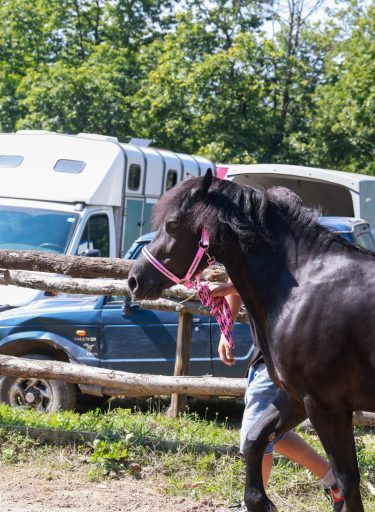 Fiera-del-Cavallo-Bardigiano-Tradizioni-Eventi-Adelano-Zeri-Lunigiana1