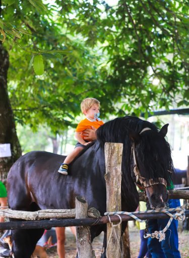 Fiera-del-Cavallo-Bardigiano-Tradizioni-Eventi-Adelano-Zeri-Lunigiana14