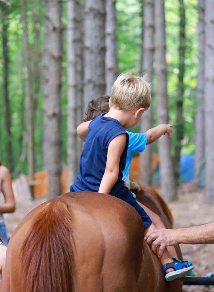 Fiera-del-Cavallo-Bardigiano-Tradizioni-Eventi-Adelano-Zeri-Lunigiana19