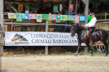 Fiera-del-Cavallo-Bardigiano-Tradizioni-Eventi-Adelano-Zeri-Lunigiana22