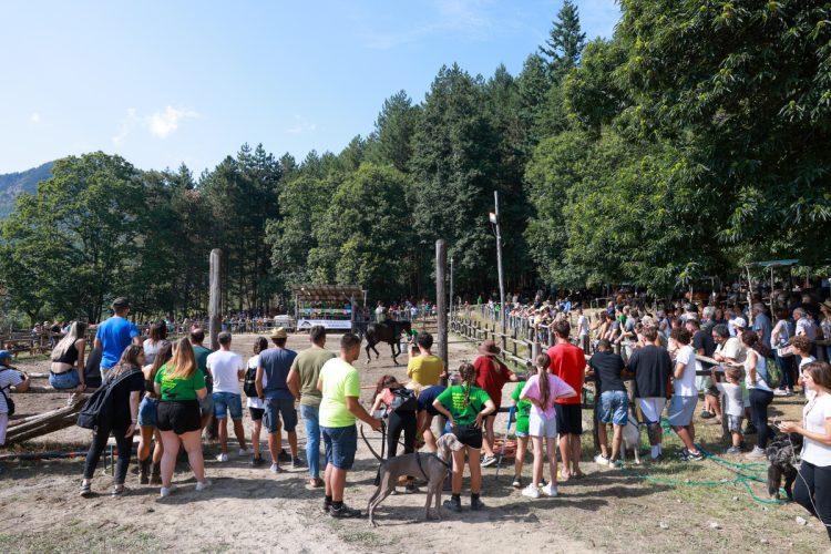 Fiera-del-Cavallo-Bardigiano-Tradizioni-Eventi-Adelano-Zeri-Lunigiana26