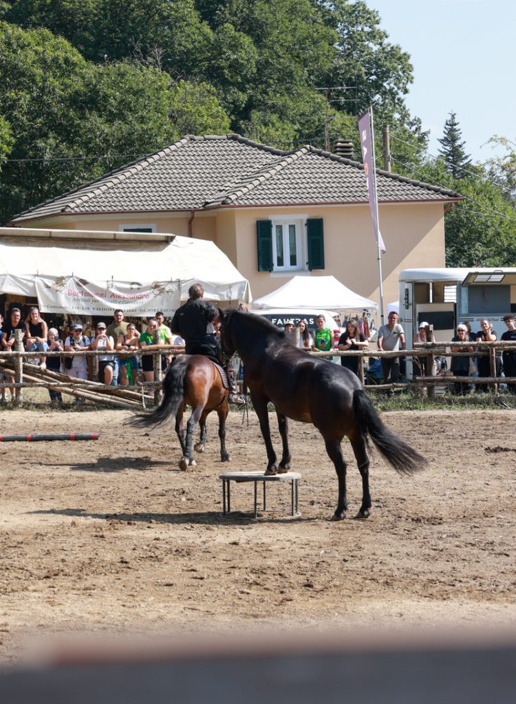 Fiera-del-Cavallo-Bardigiano-Tradizioni-Eventi-Adelano-Zeri-Lunigiana27