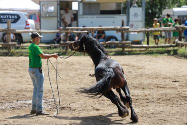 Fiera-del-Cavallo-Bardigiano-Tradizioni-Eventi-Adelano-Zeri-Lunigiana4