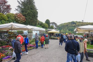 Fiera-di-San-Marco-Eventi-Tradizioni-Soliera-Fivizzano-Lunigiana3