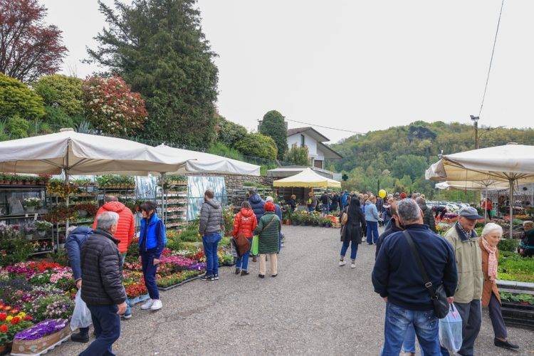 Fiera-di-San-Marco-Eventi-Tradizioni-Soliera-Fivizzano-Lunigiana3