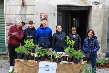 Fiera-di-San-Marco-Eventi-Tradizioni-Soliera-Fivizzano-Lunigiana5