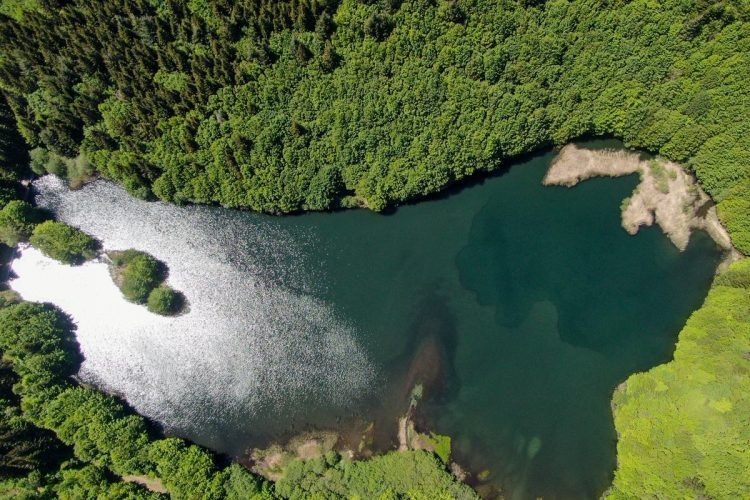 Lago Padule-Sassalbo-Comune-Fivizzano-Cosa-Fare-Natura-Lunigiana-World_2021_4