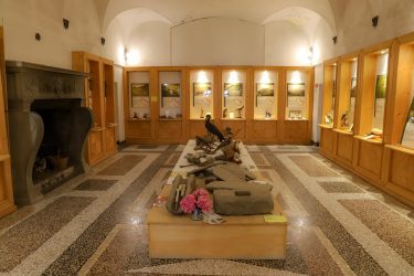 Museo-di-Storia-Naturale-della-Lunigiana-Fortezza-della-Brunella-Aulla-Cosa-Fare-Musei-Lunigiana-World_2021_28-Copertina