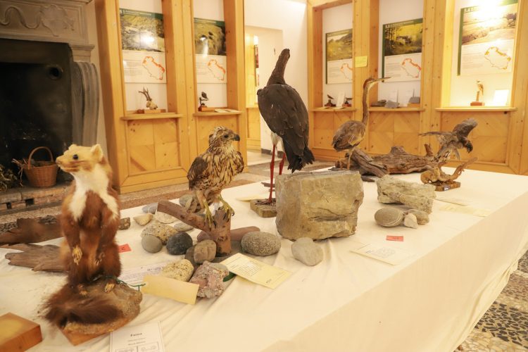 Museo-di-Storia-Naturale-della-Lunigiana-Fortezza-della-Brunella-Aulla-Cosa-Fare-Musei-Lunigiana-World_2021_3