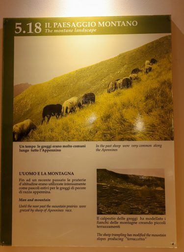 Museo-di-Storia-Naturale-della-Lunigiana-Fortezza-della-Brunella-Aulla-Cosa-Fare-Musei-Lunigiana-World_2021_9