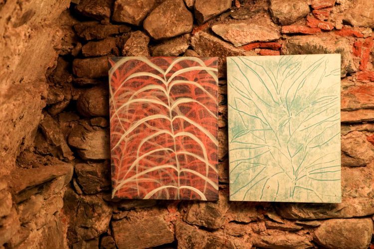 TassonArt-Eventi-Tradizioni-Tassonarla-Tresana-Lunigiana6